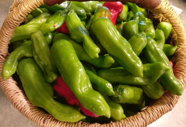 Image result for Italian Pepperoncini pepper